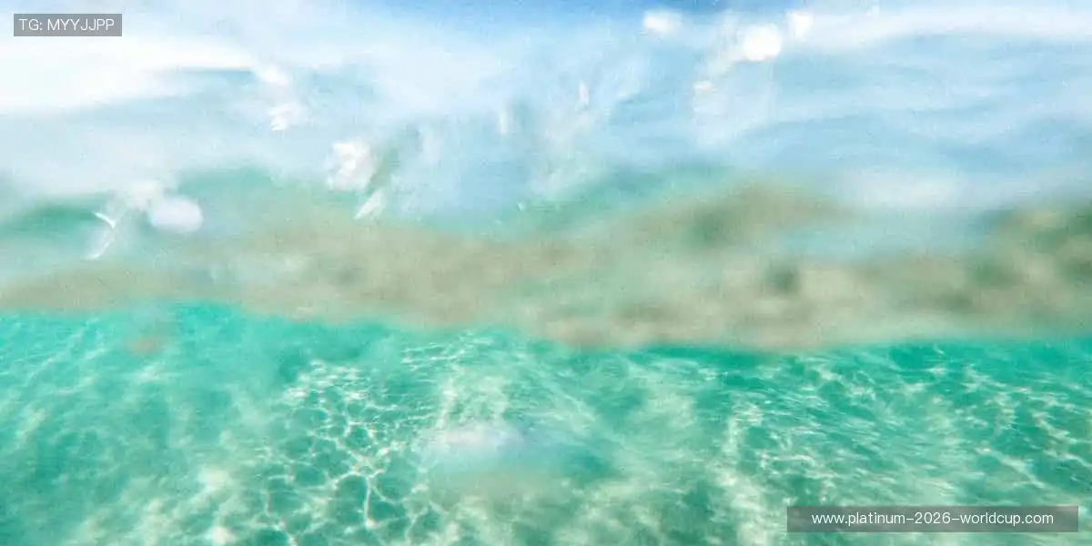 周边好物,把热爱穿在身上👕💥